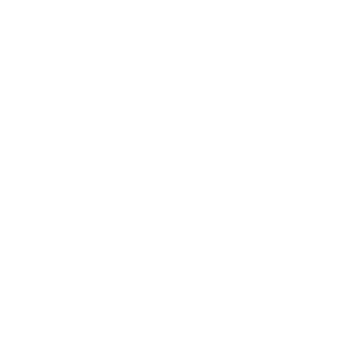 blockchain network